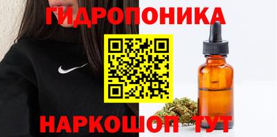 прущие крисы Кингисепп