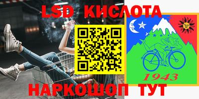 прущие крисы Кингисепп