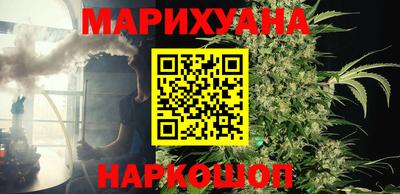 прущие крисы Кингисепп