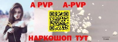 прущие крисы Кингисепп
