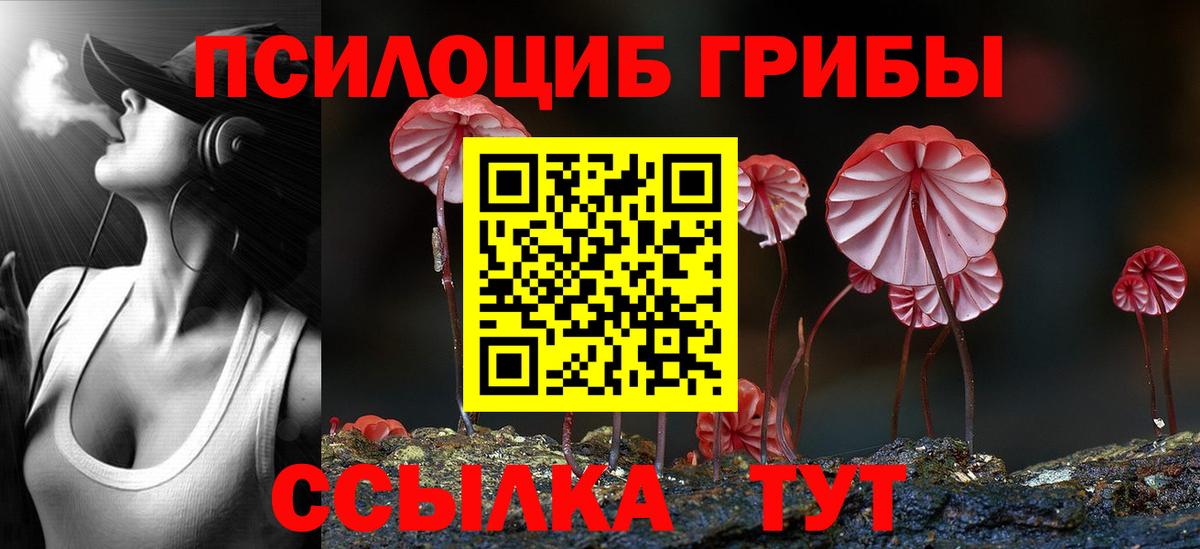 Псилоцибиновые грибы Psilocybe  Псилоцибиновые грибы мицелий  Кострома  Вход с VPN 